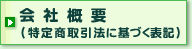 ��ЊT�v�i���菤����@�Ɋ�Â��\�L�j