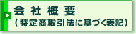 ��ЊT�v�i���菤����@�Ɋ�Â��\�L�j