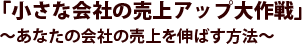 「小さな会社の売上アップ大作戦」
